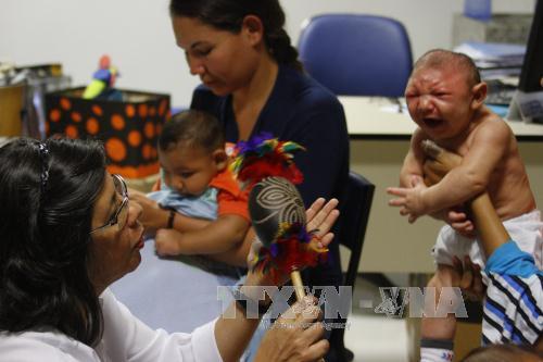 Virus Zika lây lan nhanh tại Colombia ảnh 1